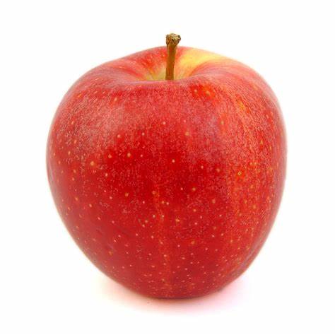 bfmazzeo: Apples, Gala Organic